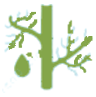 Homeopathie - Specialite - <br />
<b>Notice</b>:  Undefined variable: dataSpecialite in <b>C:\inetpub\wwwroot\HOMEOPASS\Affection\affection.php</b> on line <b>38</b><br />
.png